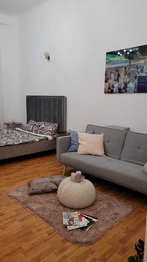 Opera Victoriei Residence - Ultracentral Cozy Accommodation Timisoara Exterior foto